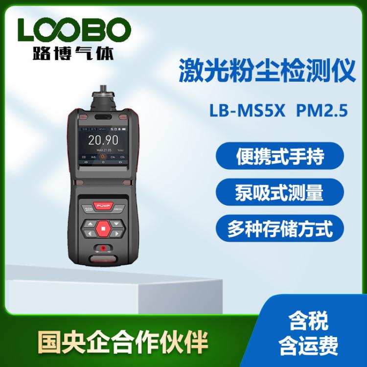 泵吸式氣體分析儀LB-MS5XPM2.5顆粒物濃度分析儀激光粉塵檢測儀