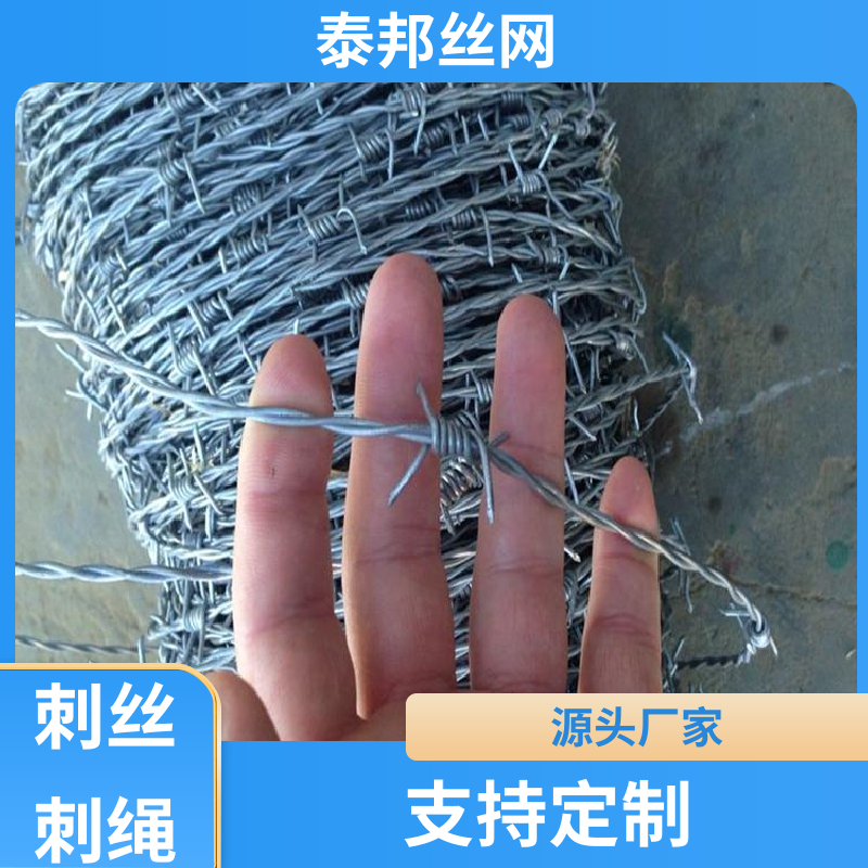 泰邦絲網(wǎng)刺繩廠鐵蒺藜適用于圍墻頂端防護(hù)廠家直供