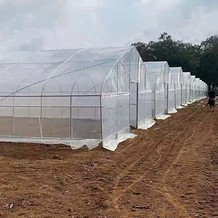 玻璃建設(shè)溫室大棚智能程度高反季節(jié)蔬菜種植寶宏鋼鐵