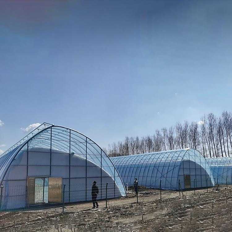 寶宏育苗大棚日光薄膜插地單體種植棚智能光伏溫室