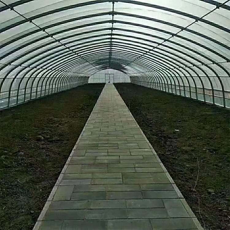 寶宏葡萄種植棚花卉蔬菜育苗栽培棚暖棚鍍鋅管冬季保溫性較好