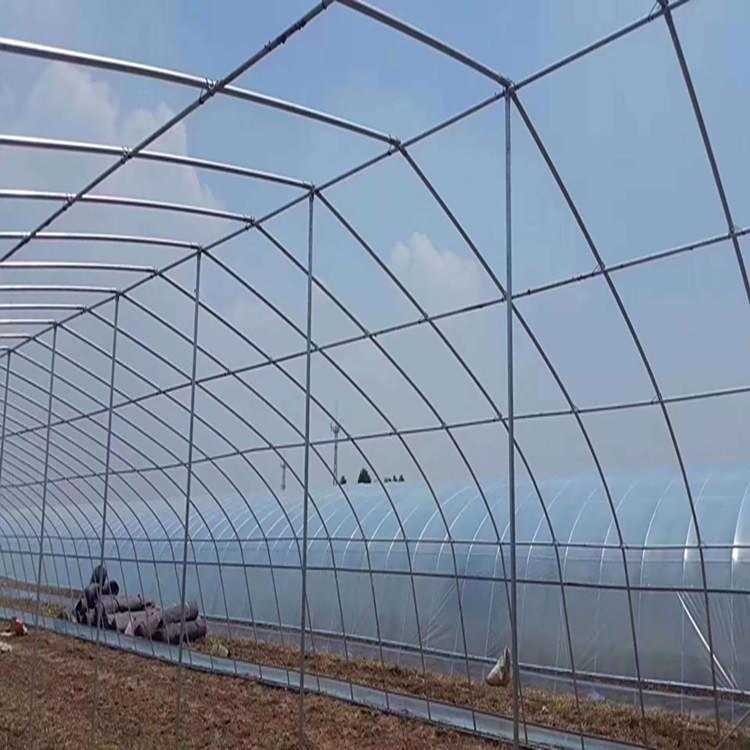 全鋼架日光溫室暖棚蔬菜大棚鋼架單體棚骨架施工快捷