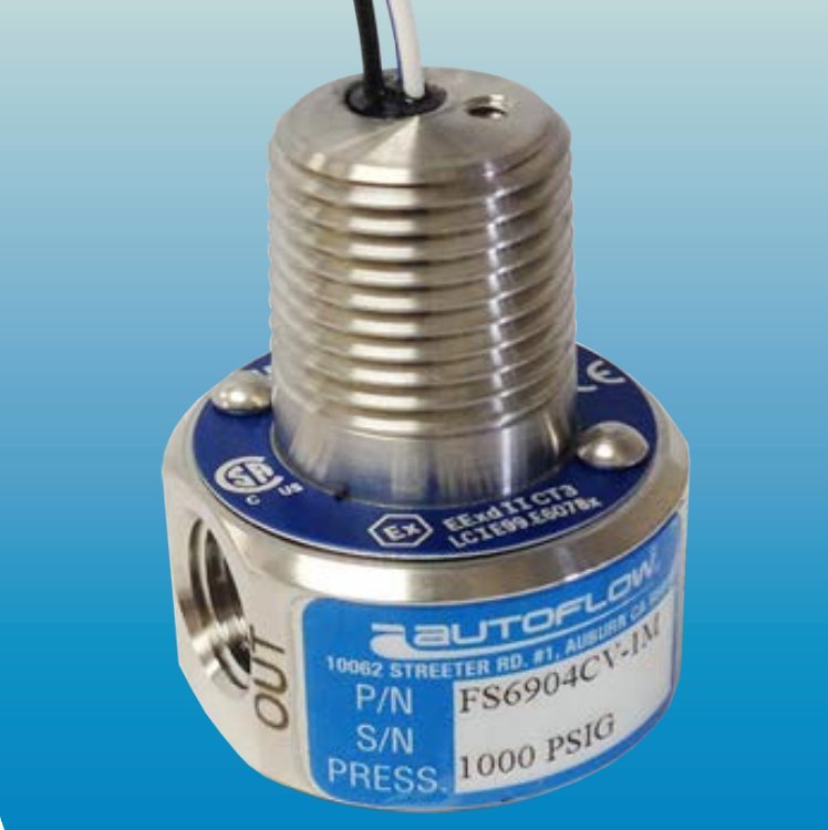 進(jìn)口美國(guó)Autoflow流量開(kāi)關(guān)分析儀氣體液體流量監(jiān)測(cè)FS62006700