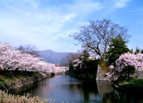 點(diǎn)擊圖片進(jìn)入下一頁 蜜月旅行